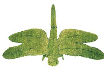 8 Inch Mossed Dragonfly Garden Topiary Frame