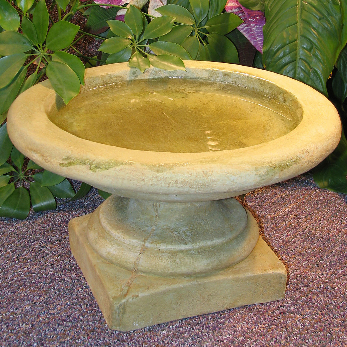 English Birdbath
