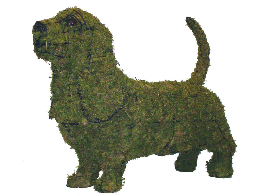 21 Inch Mossed Basset Hound Garden Topiary Frame