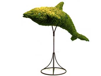 33 Inch Mossed Dolphin Garden Topiary Frame