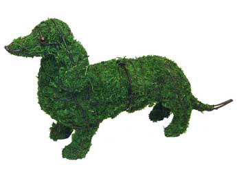 13 Inch Mossed Dachshund Garden Topiary Frame