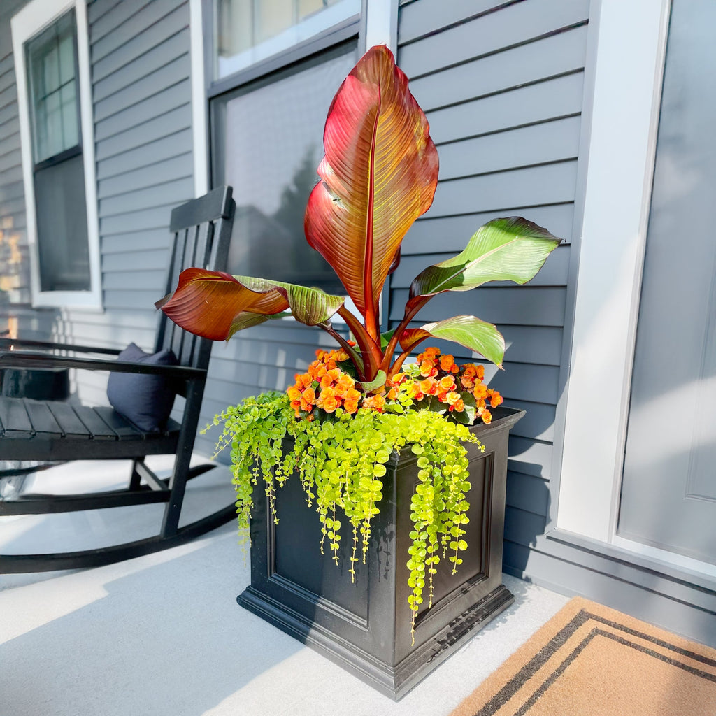 Fairfield 20in Self-Watering Square Planter, view 3