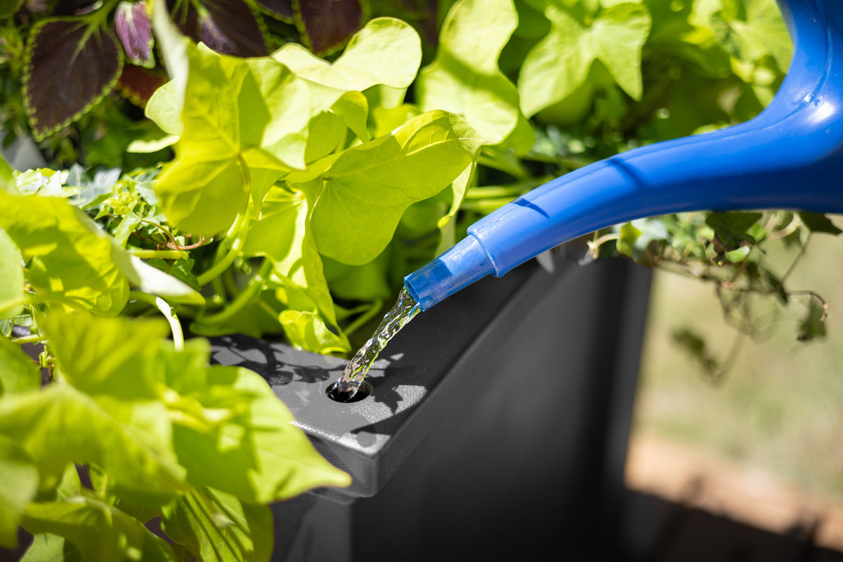 Fairfield 20in Self-Watering Square Planter, view 7