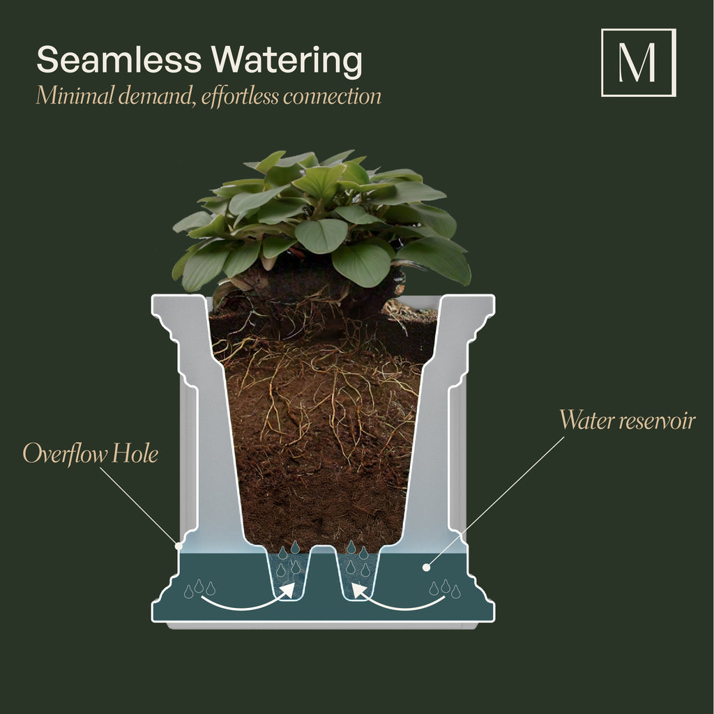 Fairfield 3FT Self-Watering Window Box, view 6
