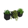 Valencia 8in Self-Watering Wall Planter (3-Pack)