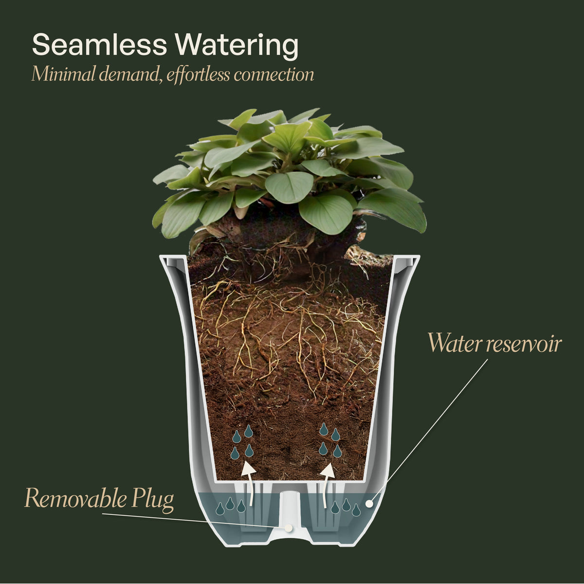 Valencia 8in Self-Watering Wall Planter (3-Pack), view 6